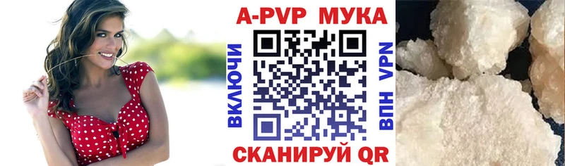 дарнет шоп Белово блэк спрут Альфа ПВП СК КРИС